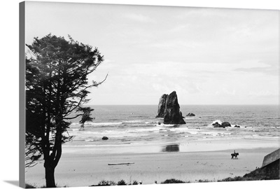 Cannon Beach, Oregon Scene with The Needles, Cannon Beach, OR