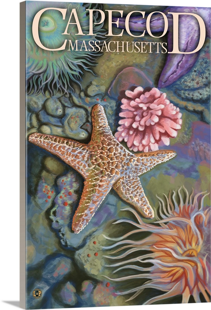 Retro stylized art poster of a starfish and other sea life.
