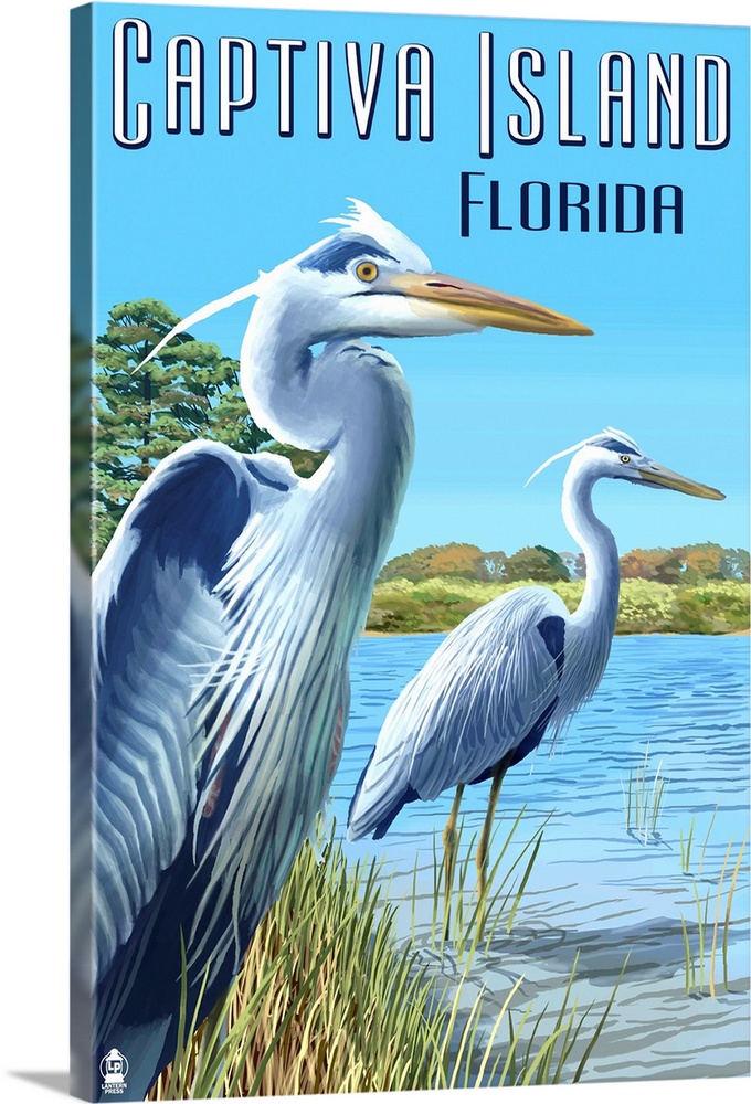 Captiva Island, Florida - Blue Herons in grass : Retro Travel Poster