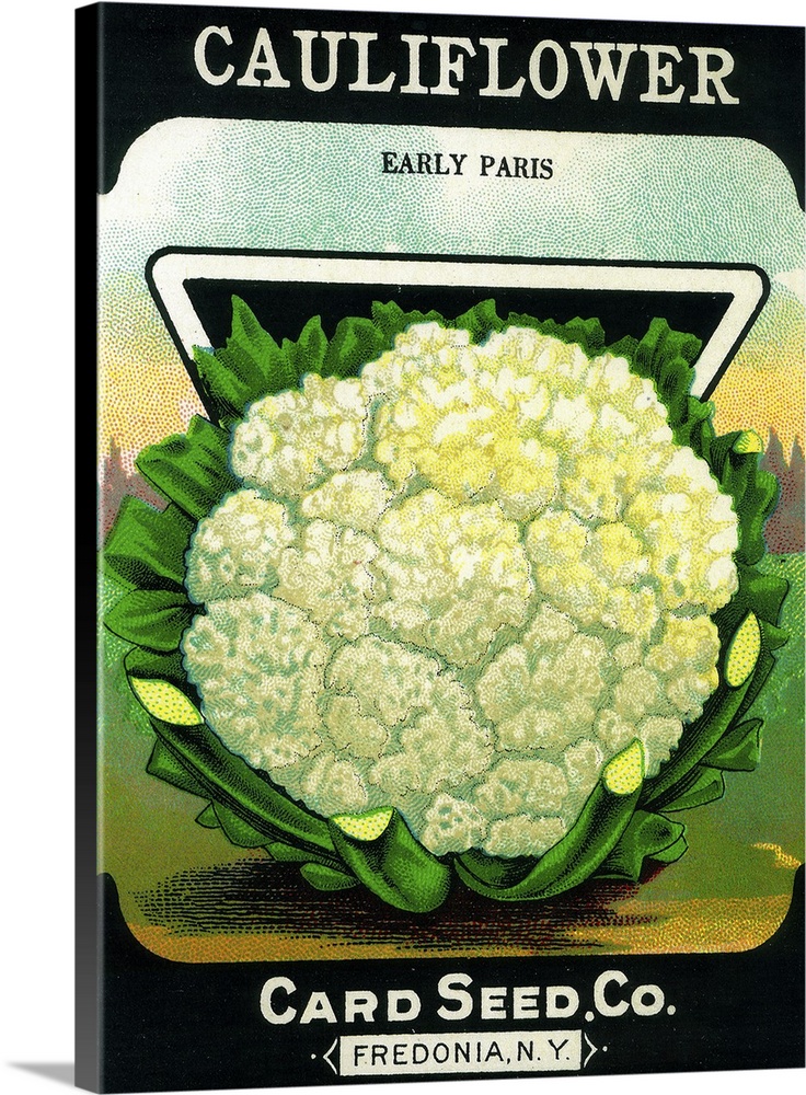 A vintage label from a seed packet for cauliflower.
