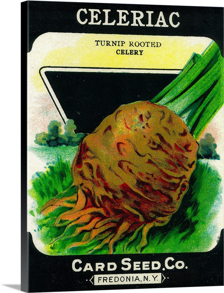 A vintage label from a seed packet for celeriac.