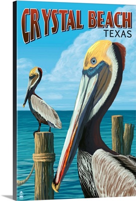 Crystal Beach, Texas, Pelicans