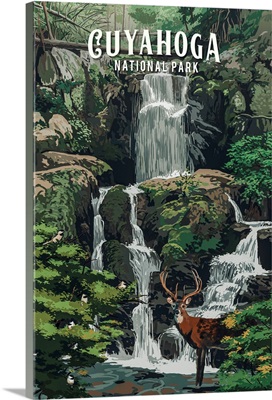 Cuyahoga Valley National Park, Waterfall: Retro Travel Poster