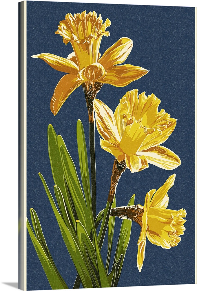 Daffodils - Letterpress - Blue Background: Retro Poster Art