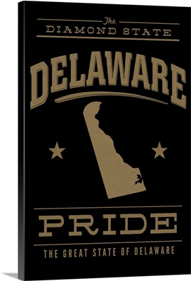 Delaware State Pride