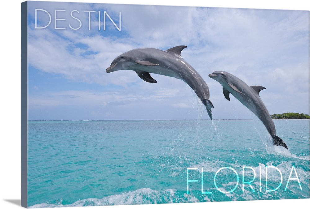 Destin, Florida, Jumping Dolphins