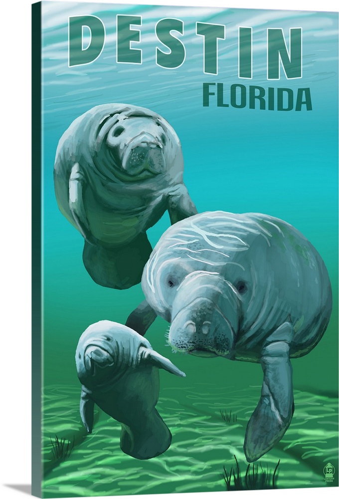 Destin, Florida, Manatees