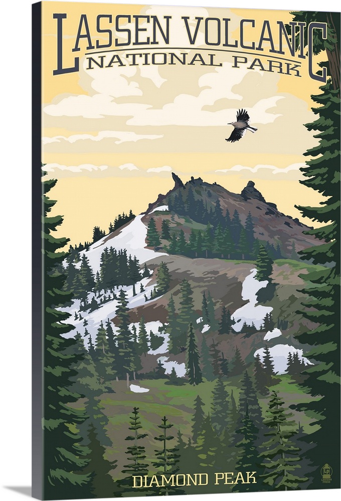 Retro stylized art poster of a volcano peak. With trees below, and a bird in flight.
