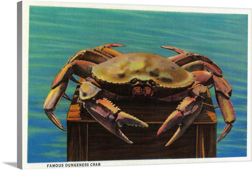 Dungeness Crab on Hood Canal, WA