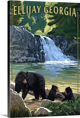 Ellijay, Georgia, Bear Family and Waterfall