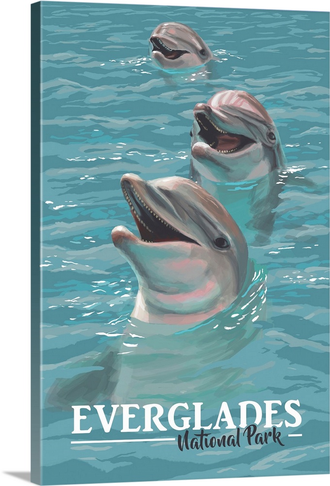 Everglades National Park, Dolphins: Retro Travel Poster