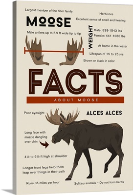 Facts About Moose
