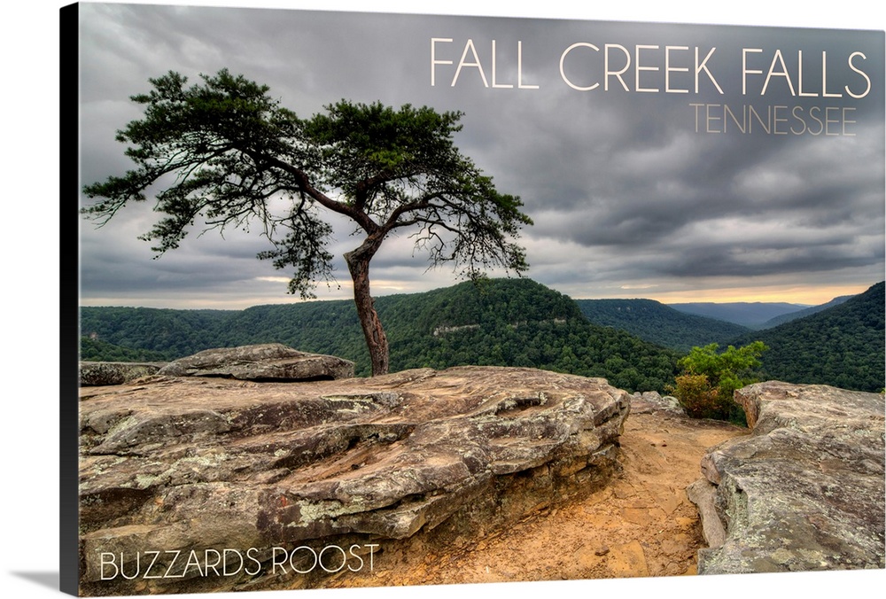 Fall Creek Falls State Park, Tennessee, Buzzards Roost