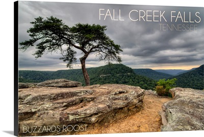 Fall Creek Falls State Park, Tennessee, Buzzards Roost