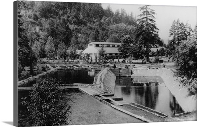 Fish Hatchery at Bonneville Dam, OR