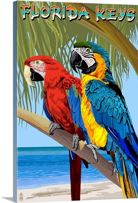 Florida Keys, Florida - Parrots: Retro Travel Poster