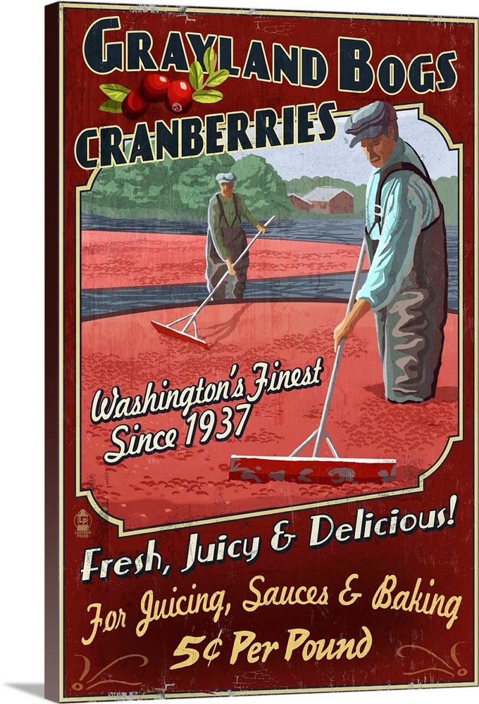 Retro stylized art poster of farmers harvesting cranberries in bog.