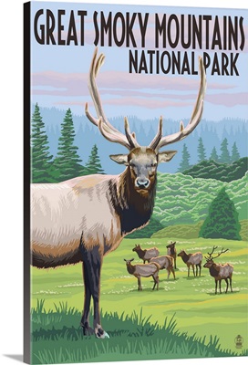 Great Smoky Mountains National Park, Elk Herd