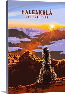 Haleakala National Park, Sunrise: Retro Travel Poster