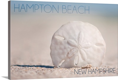 Hampton Beach, New Hampshire, Sand Dollar on Beach