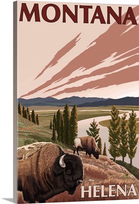 Helena, Montana - Bison and River: Retro Travel Poster