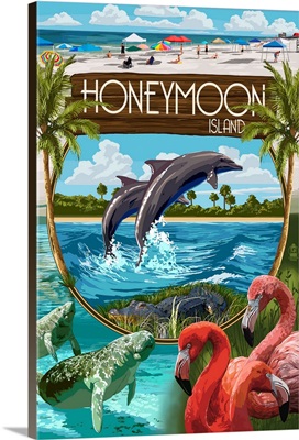 Honeymoon Island, Florida, Montage