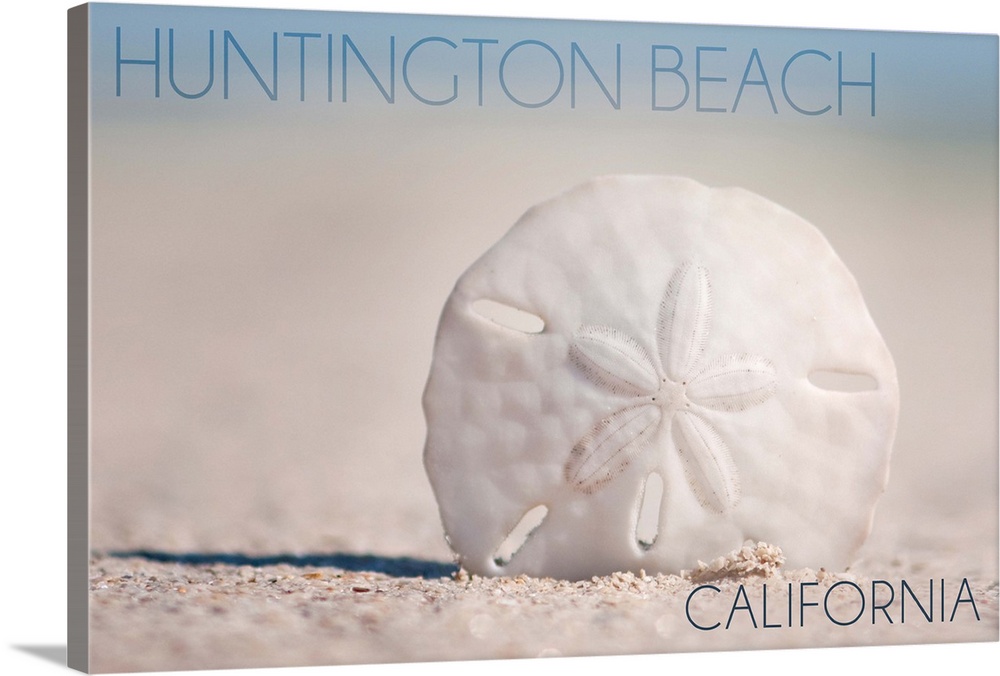 Huntington Beach, California, Sand Dollar and Beach