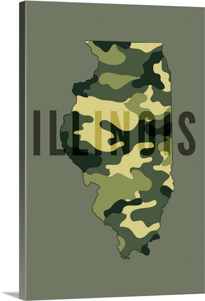 Illinois, Camo State, Green with Background