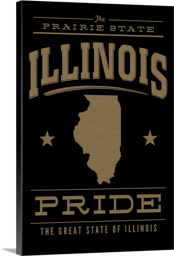 The Illinois state outline on black with gold text.
