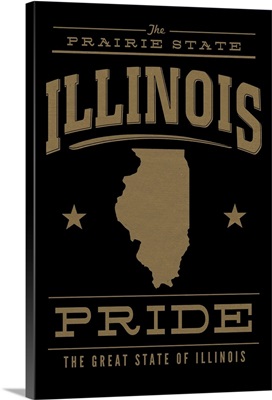 Illinois State Pride