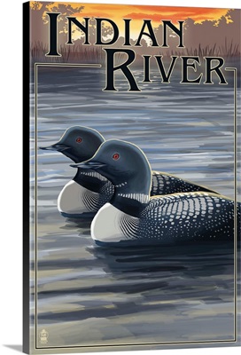 Indian River, Michigan - Loon Scene: Retro Travel Poster