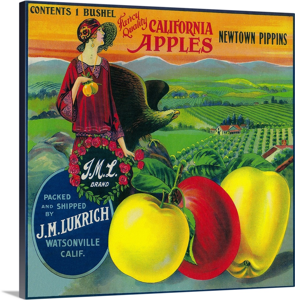 J.M.L. Apple Crate Label, Watsonville, CA