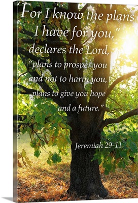 Jeremiah 29:11 - Inspirational