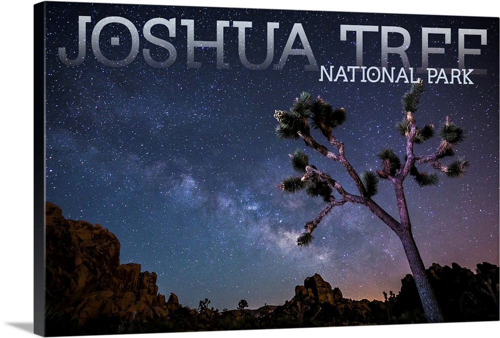 Joshua Tree National Park, Milky Way: Travel Poster