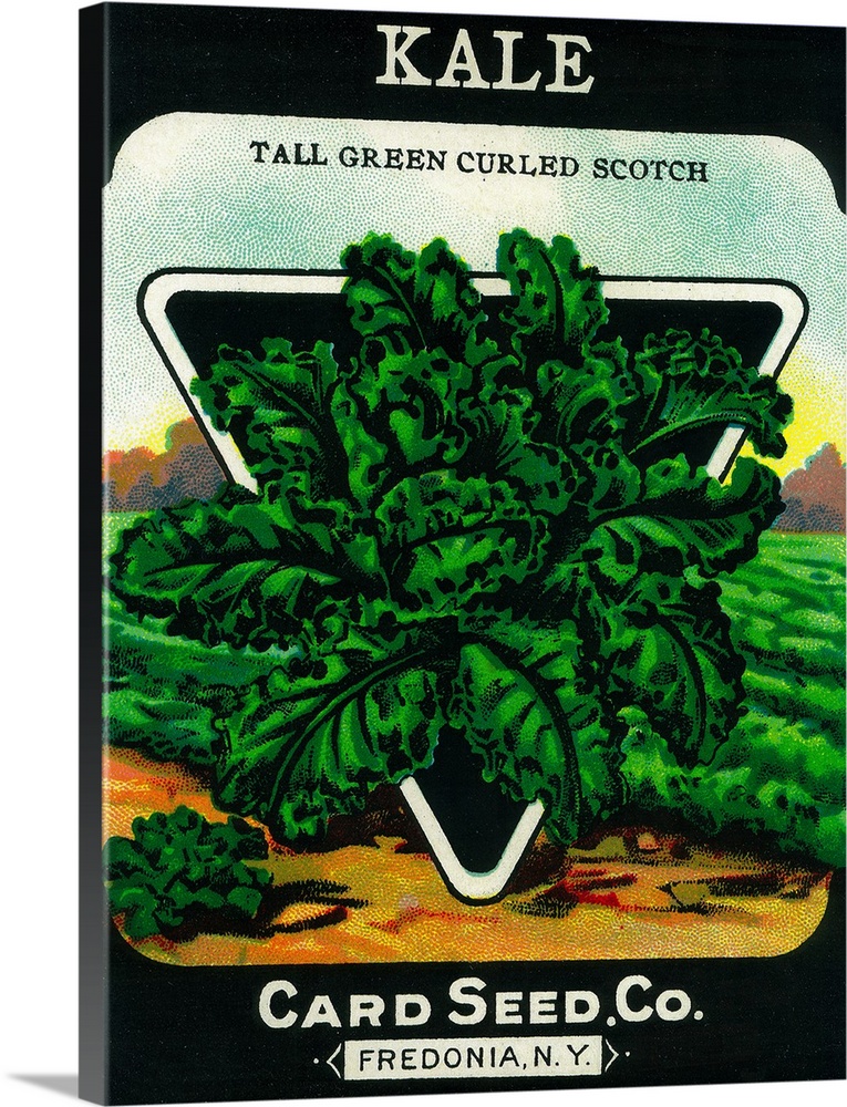 A vintage label from a seed packet for kale.