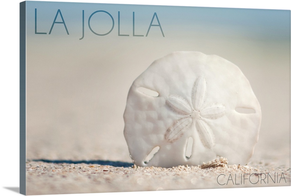 La Jolla, California, Sand Dollar and Beach