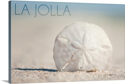 La Jolla, California, Sand Dollar and Beach