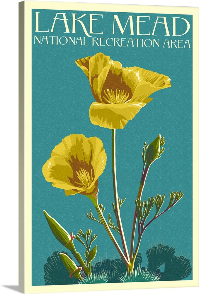 Lake Mead - National Recreation Area - Bear Paw Poppy - Letterpress - Lantern Press Poster