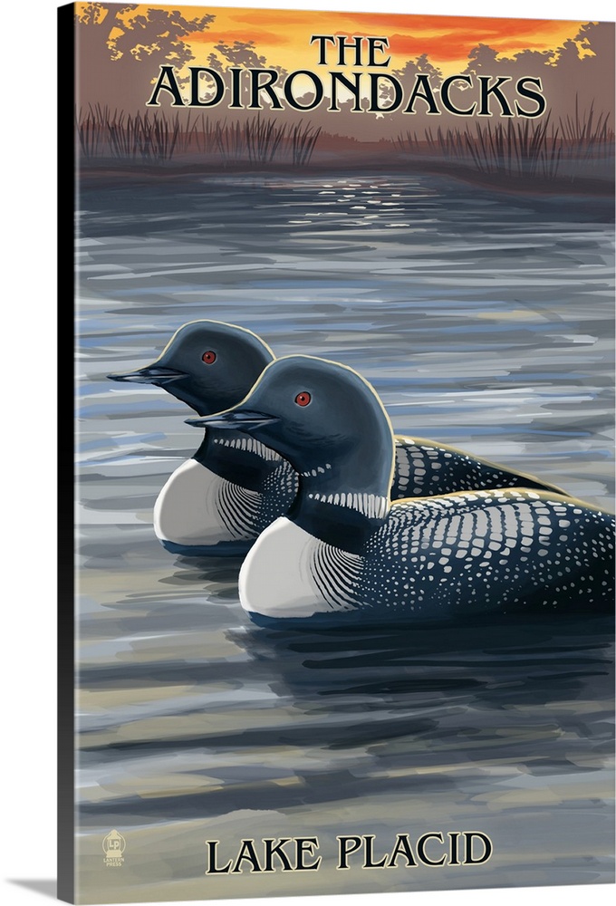 Lake Placid, Adirondacks, New York, Loon Scene