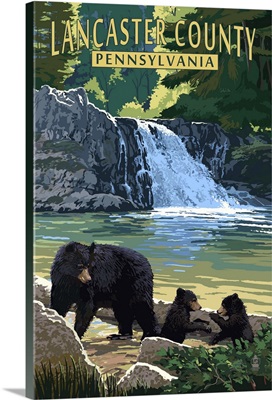 Lancaster County, Pennsylvania, Black Bears and Waterfall