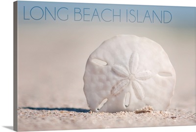 Long Beach Island, Sand Dollar