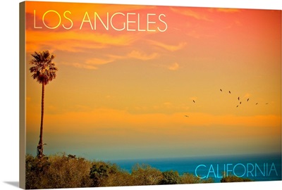 Los Angeles, California, Sunset and Birds