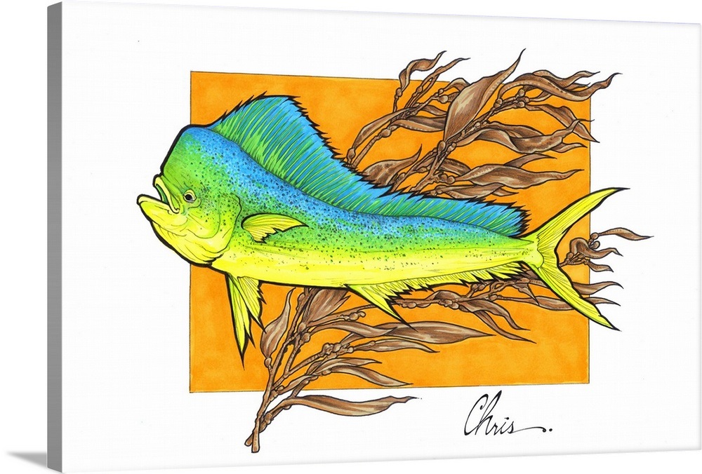 Mahi Mahi Wall Art, Canvas Prints, Framed Prints, Wall Peels | Great