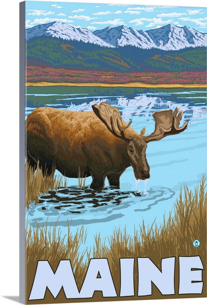 Maine - Moose Drinking in Lake: Retro Travel Poster