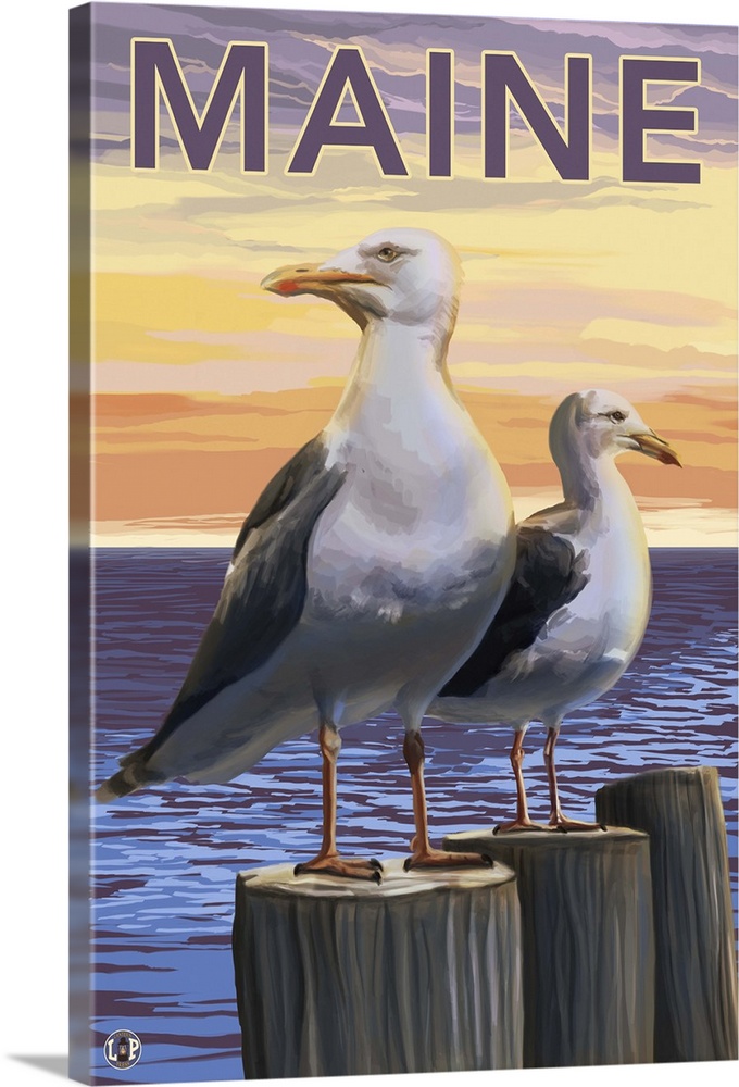 Maine - Sea Gulls Scene: Retro Travel Poster