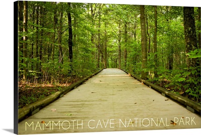 Mammoth Cave, Kentucky, Trail