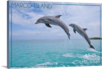 Marco Island, Florida, Jumping Dolphins