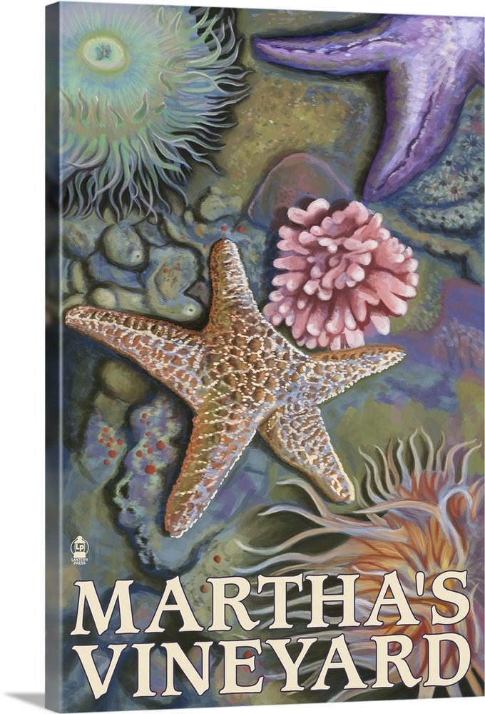 Martha's Vineyard - Tidepools: Retro Travel Poster