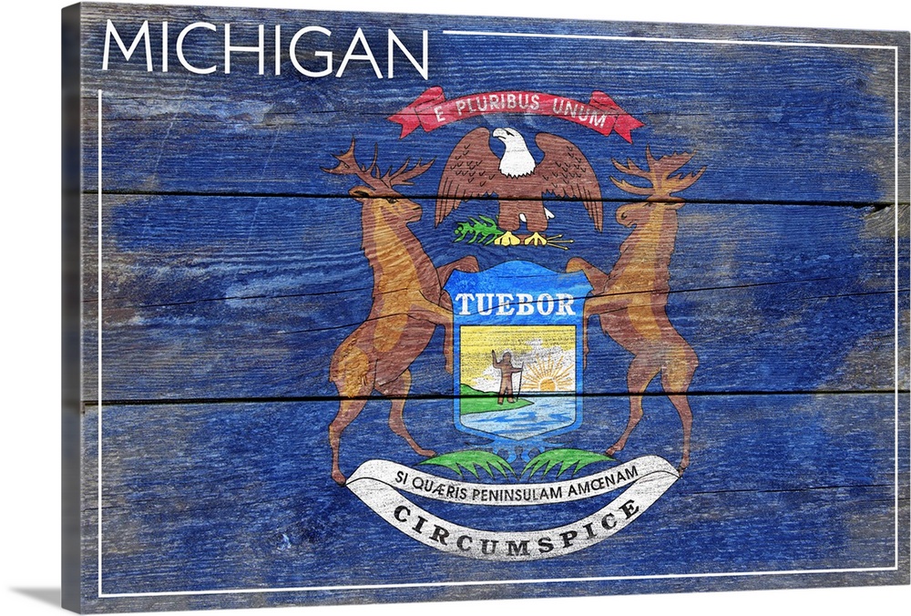 Michigan State Flag, Barnwood Painting