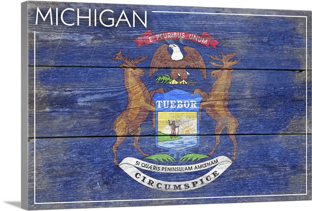 The flag of Michigan with a weathered wooden board effect.